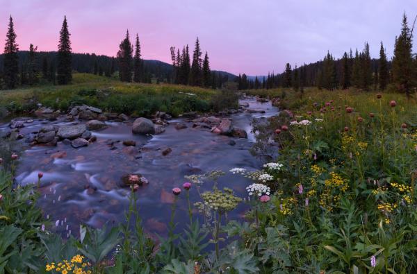 Landscape Photography by Michael Migushin
