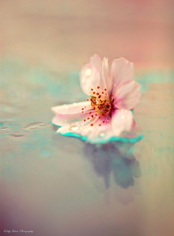 Photography by Eddy L