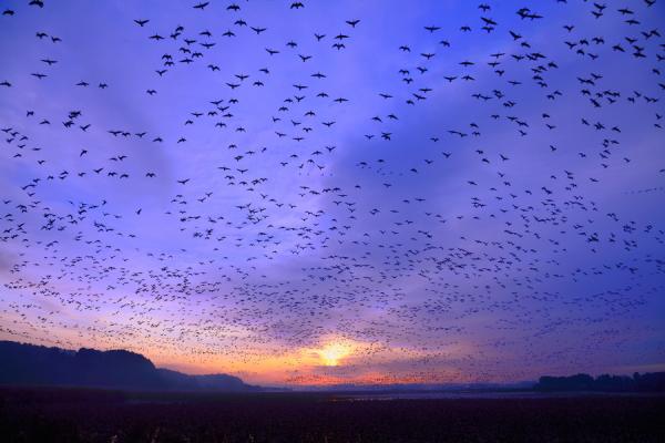 Landscape Photography by Yume