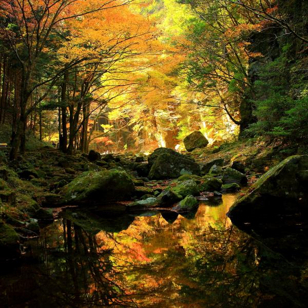 Landscape Photography by Yume