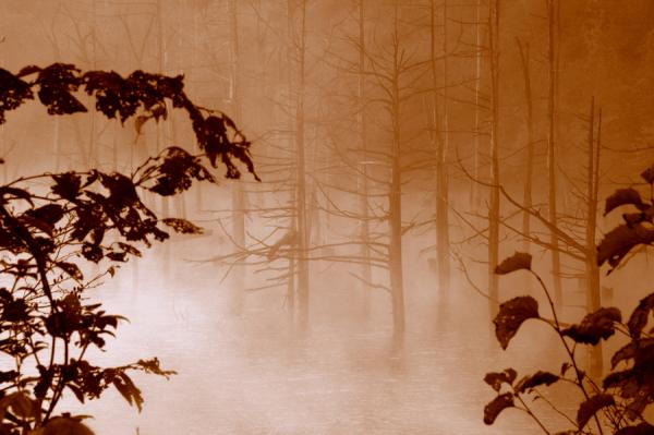 Landscape Photography by Yume