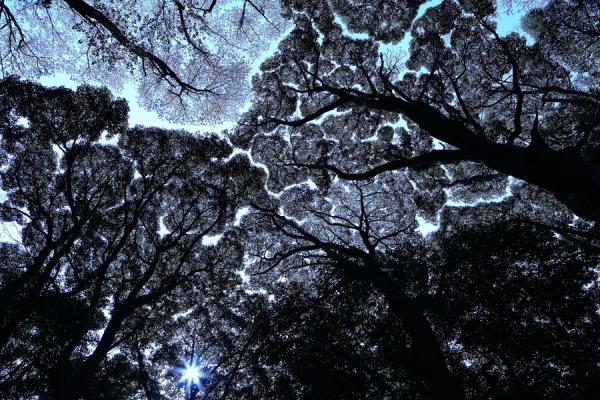 Landscape Photography by Yume