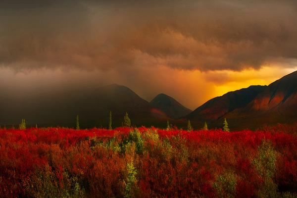 Landscape Photography by Kevin McNeal