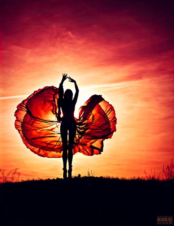 Magnificent Photography by Svetlana Belyaeva
