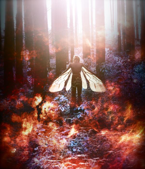 Photo Manipulations by Marwane Pallas