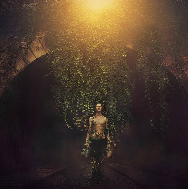 Photo Manipulations by Marwane Pallas