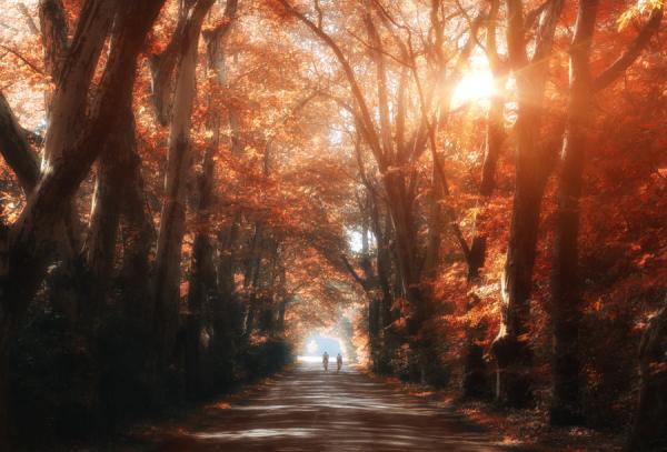 Landscape Photography by Zoltán Koi