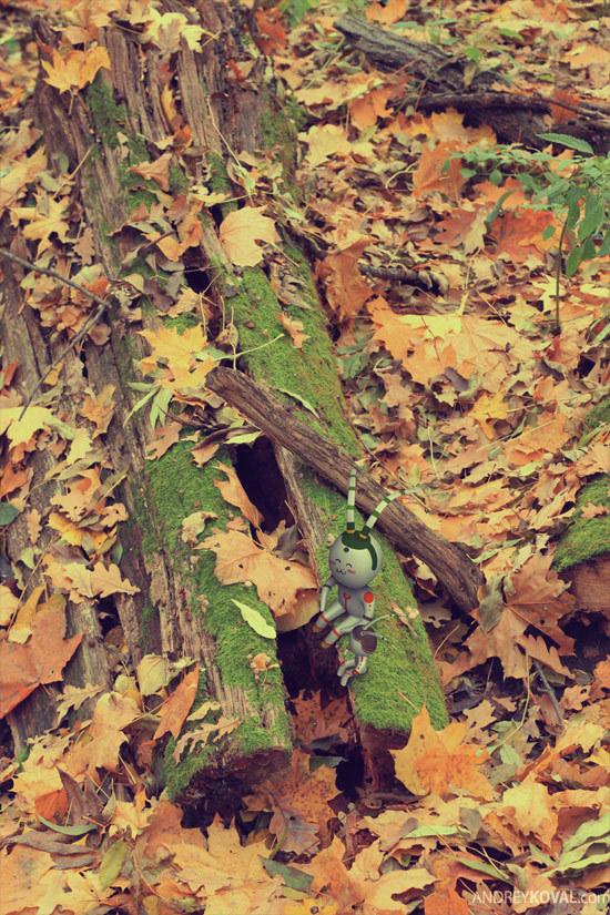 THE WOOD BY Andrey Koval