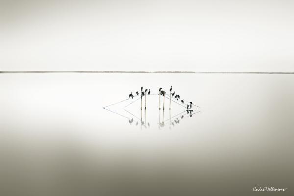 Cute Animal Photography by Andre Villeneuve