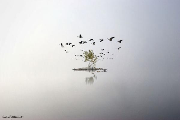 Cute Animal Photography by Andre Villeneuve