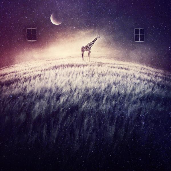 Photo Manipulation by Albulena Panduri