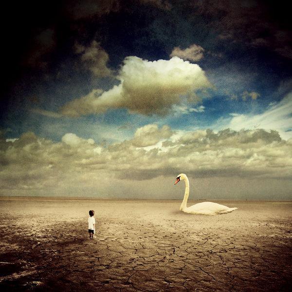 Photo Manipulation by Albulena Panduri