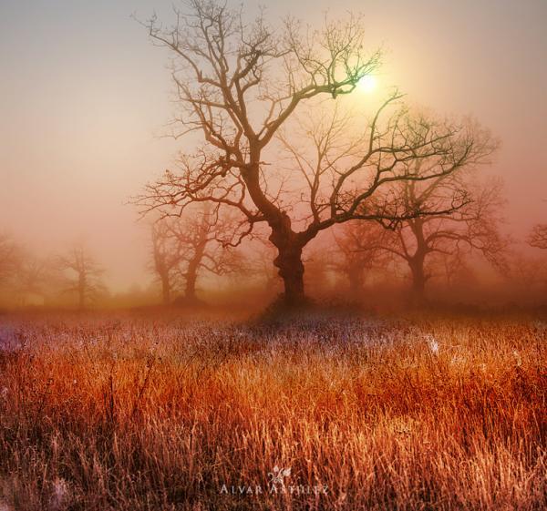 Landscape Photography by Alvar Astúlez