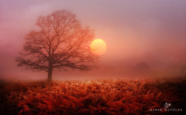 Landscape Photography by Alvar Astúlez