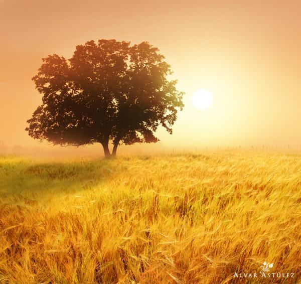 Landscape Photography by Alvar Astúlez
