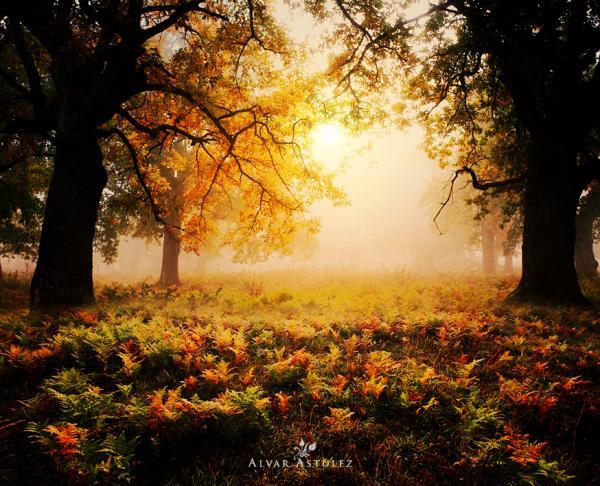 Landscape Photography by Alvar Astúlez