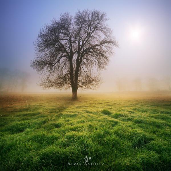 Landscape Photography by Alvar Astúlez