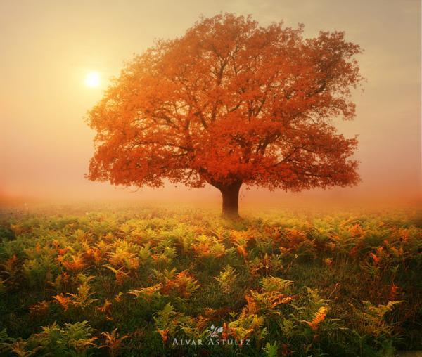 Landscape Photography by Alvar Astúlez