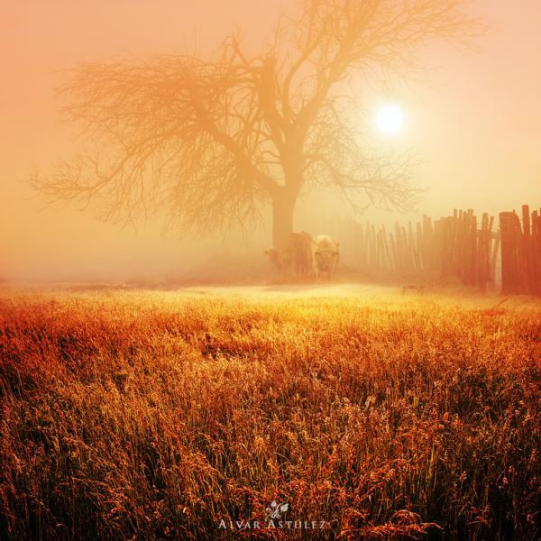 Landscape Photography by Alvar Astúlez