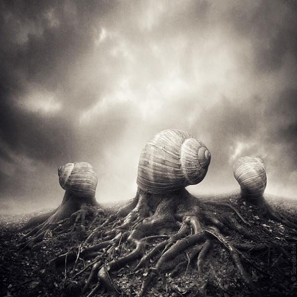 20 Surreal Photo Manipulations by Sarolta Ban