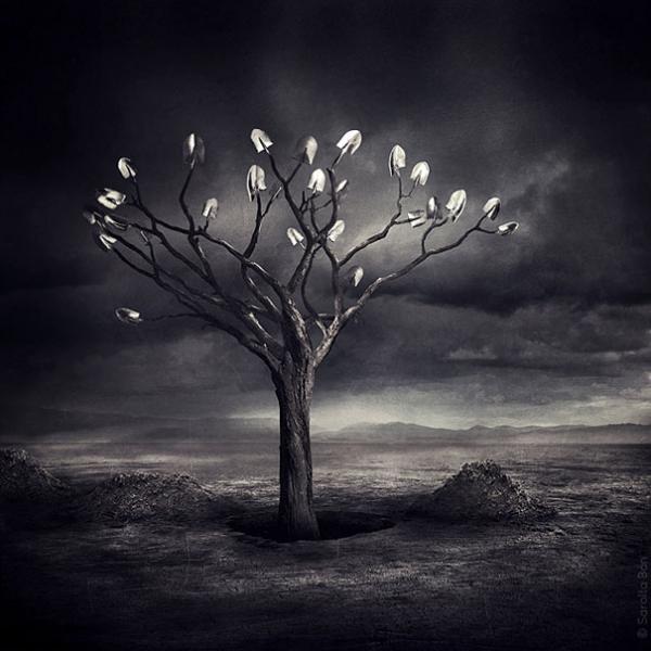 20 Surreal Photo Manipulations by Sarolta Ban