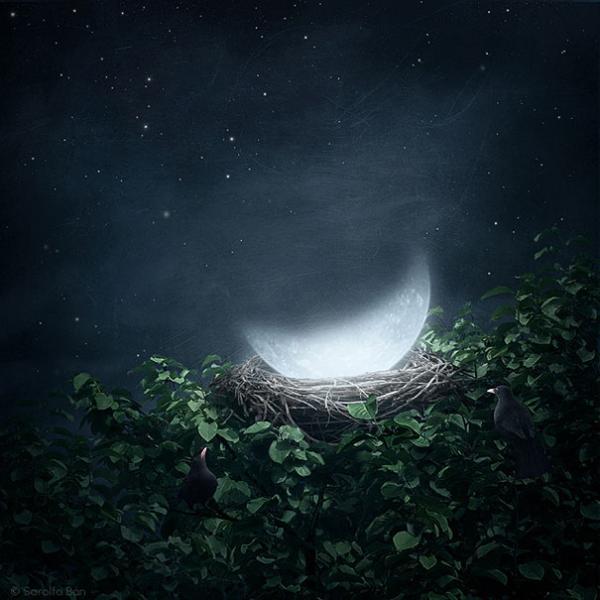 20 Surreal Photo Manipulations by Sarolta Ban