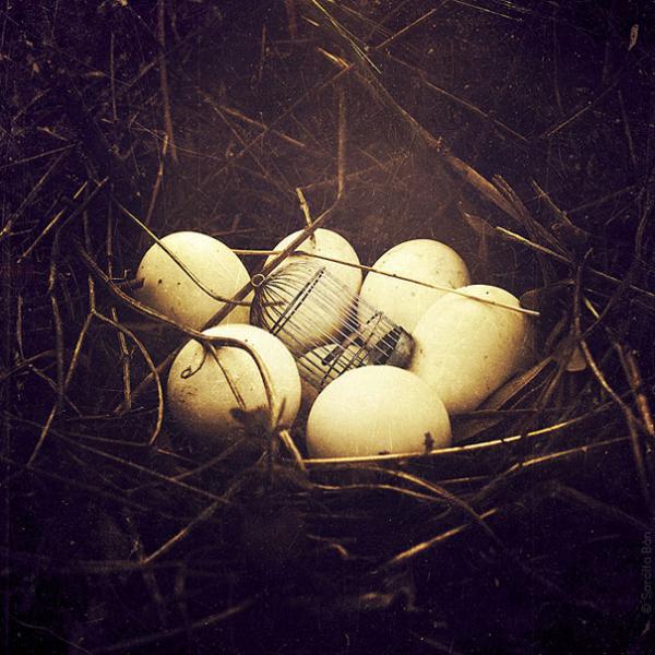 20 Surreal Photo Manipulations by Sarolta Ban