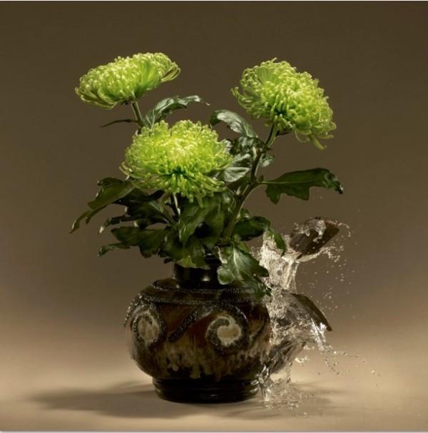 Blomst