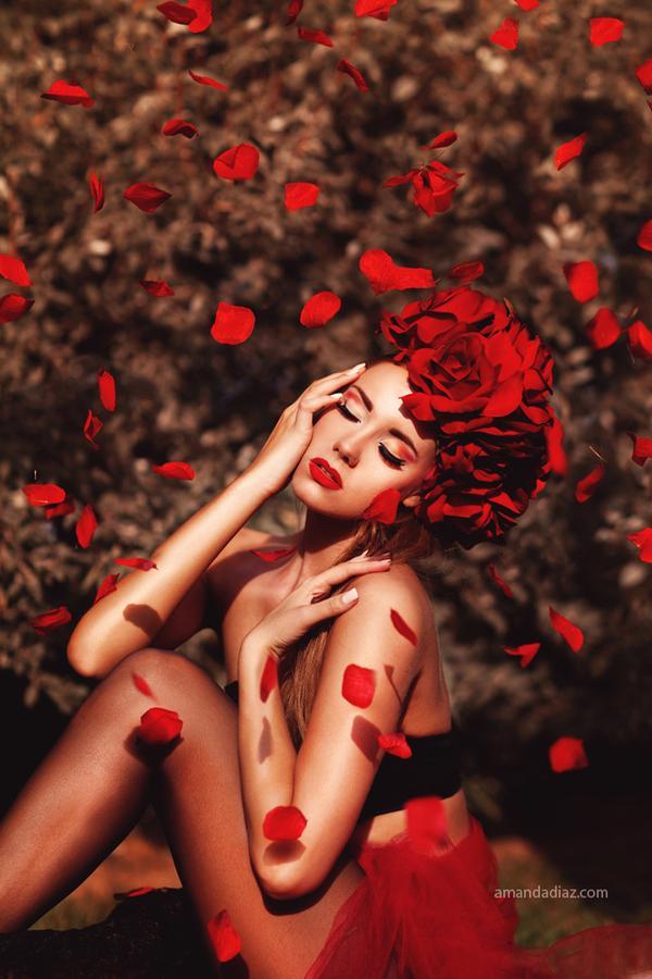 Dream Fashion Photography by Amanda Diaz