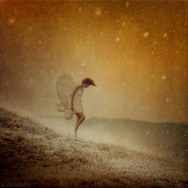 Tales of Color by Anka Zhuravleva