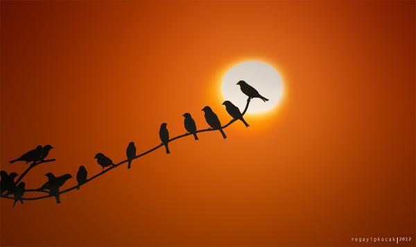 Creative Shoots by Regayip Kocak