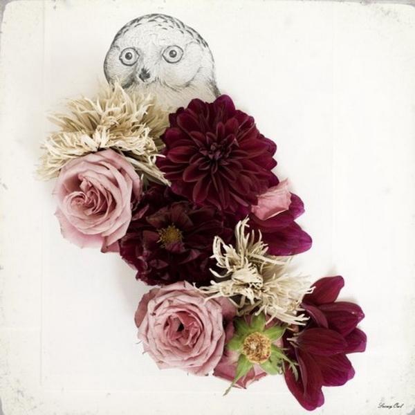 Creative Flower Shoots by Kari Herer