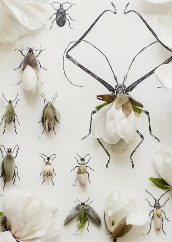 Creative Flower Shoots by Kari Herer