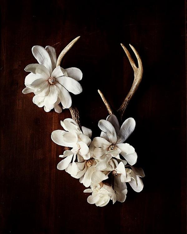 Creative Flower Shoots by Kari Herer