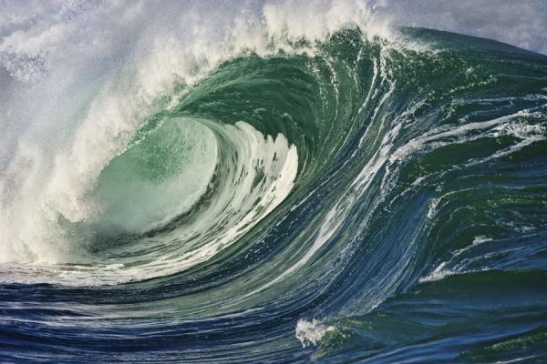Surf Photography by Warren Ishii