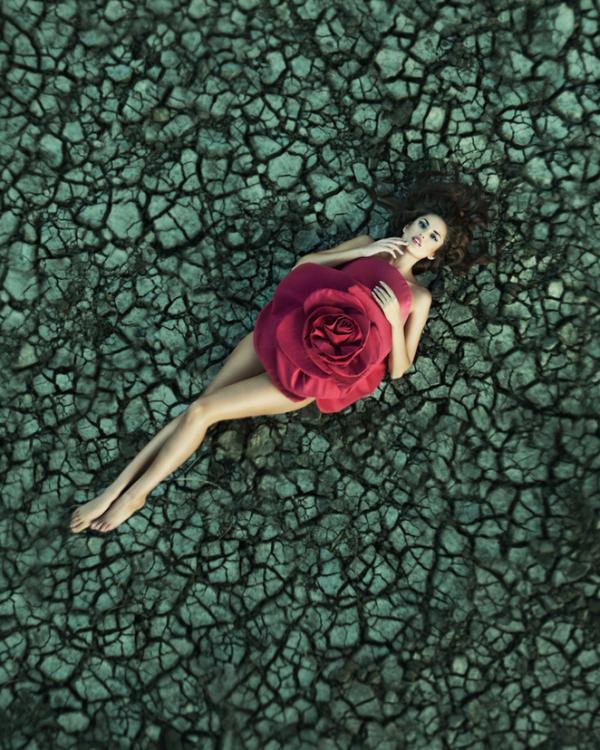 Glamorous Photography by Marina Stenko