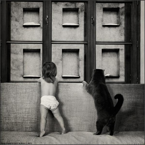 Little Girl and Her Cat