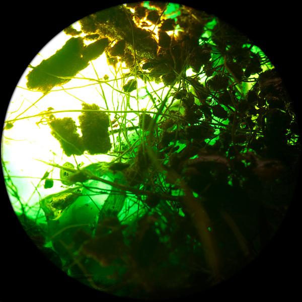 Digital Photography By Joana Garrido