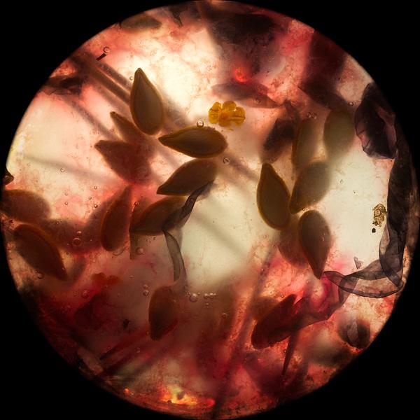 Digital Photography By Joana Garrido