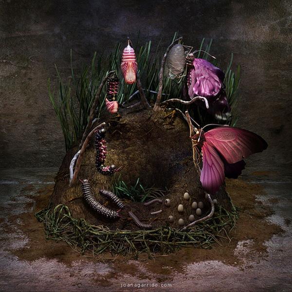 Digital Photography By Joana Garrido