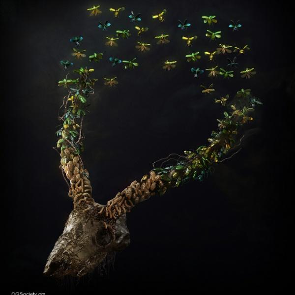 Digital Photography By Joana Garrido