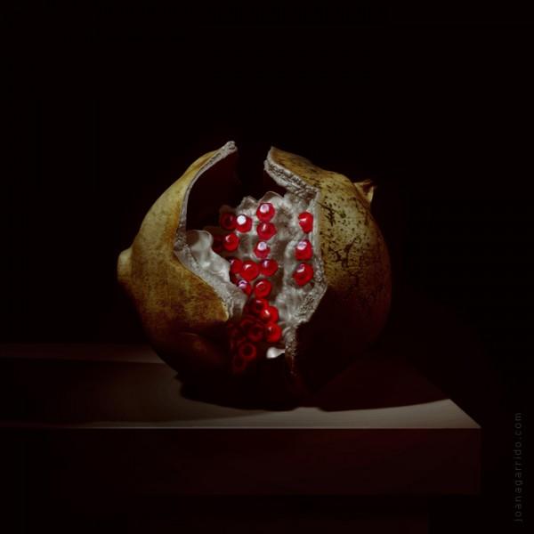 Digital Photography By Joana Garrido