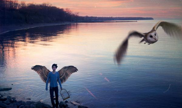 Expressive Photography by Jared Tyler