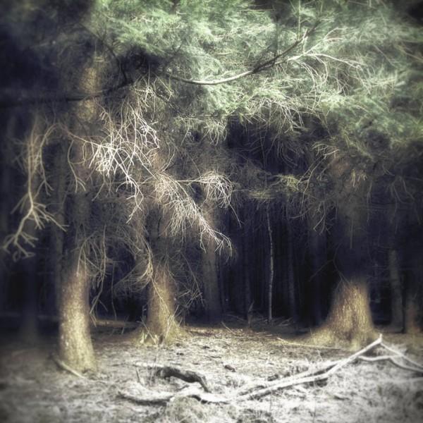 Moody Photography by Jürgen Heckel