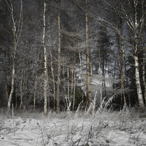 Moody Photography by Jürgen Heckel