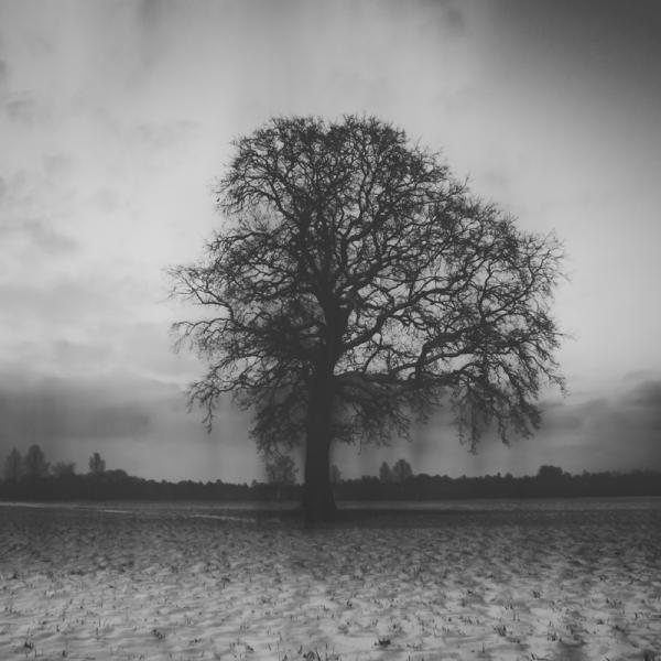 Moody Photography by Jürgen Heckel