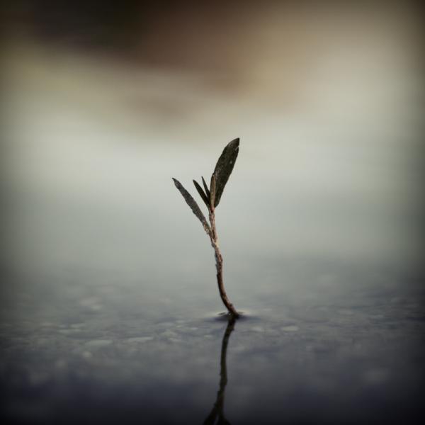 Moody Photography by Jürgen Heckel
