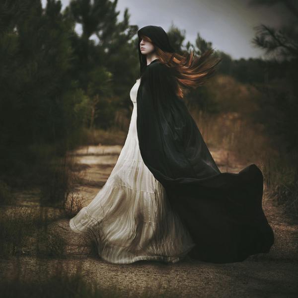 Amazing Photography by Shelby Robinson