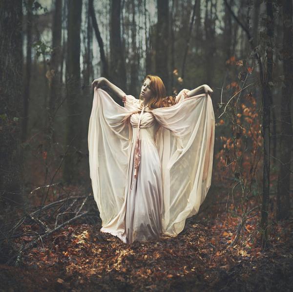 Amazing Photography by Shelby Robinson