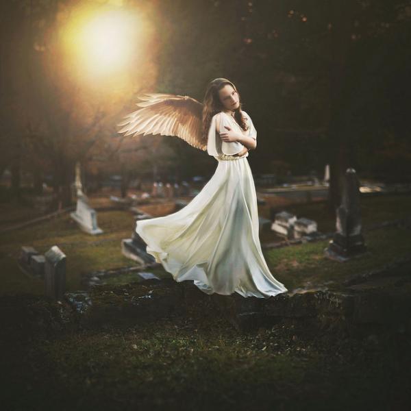 Amazing Photography by Shelby Robinson